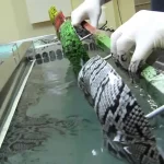 هیدروگرافی قطعات